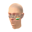 India Facepaint - Free Fire Skins